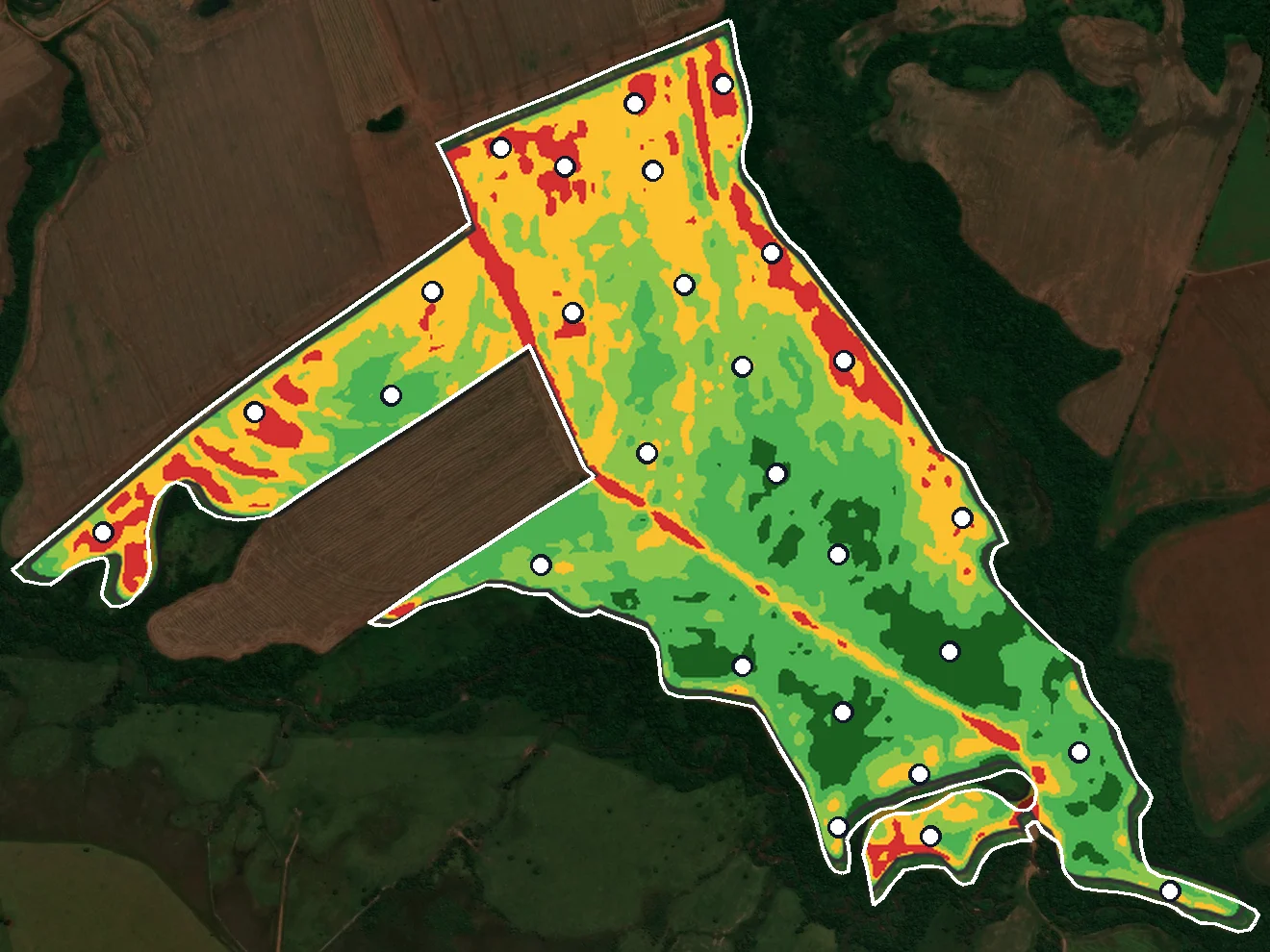 Malha de pontos sobre o NDVI do talhão